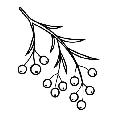 Bereketli dal izole edilmiş simge