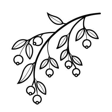 yalnız böğürtlen dizaynı