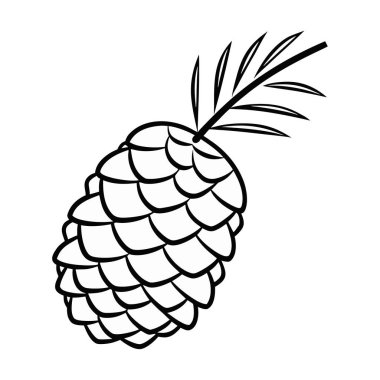 taze meyve ve ananas