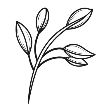 Çiçeğin vektör çizimi, el çizimi illüstrasyon