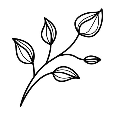 izole yaprak tasarım vektörü