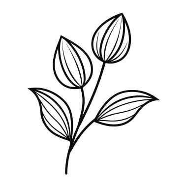 bir çiçeğin vektör çizimi.