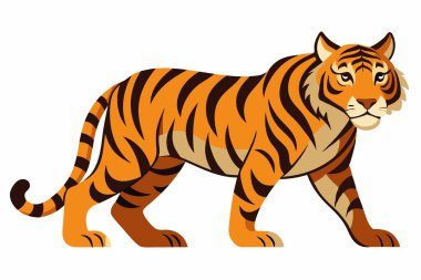 Beyaz arka planda kaplanın vektör çizimi