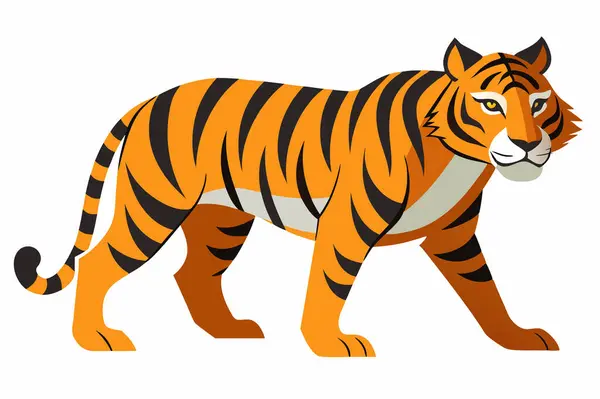 turuncu kaplan çizimi