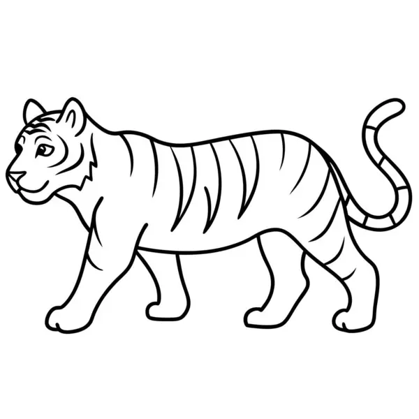 Beyaz arka planda kaplan. vektör.