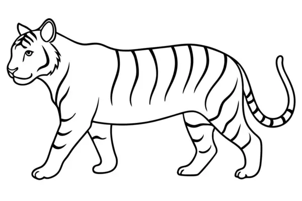 Kaplan, kaplan, kaplan, kaplan, siyah beyaz çizim