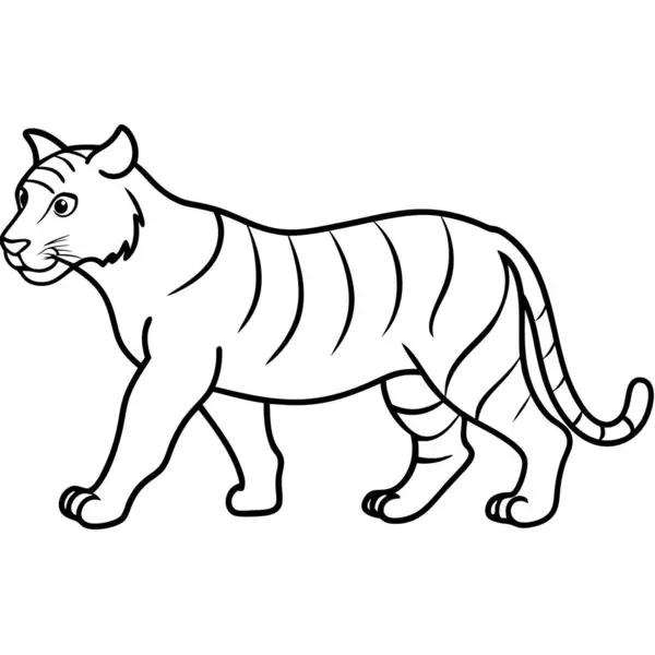 Beyaz arkaplanda kaplan karikatürü çizimi