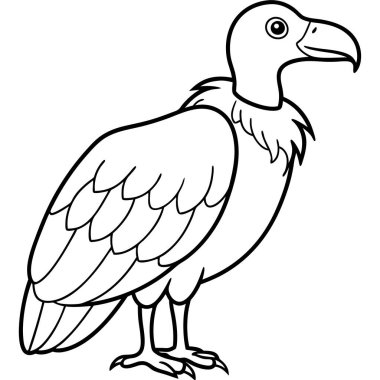 Papağanlı boyama kitabı