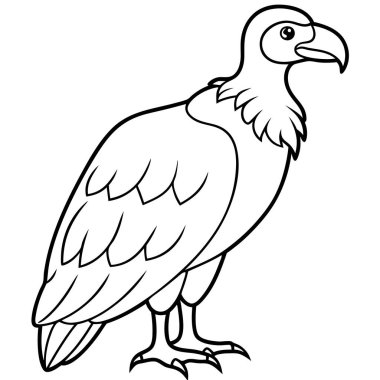 kuşun vektör illüstrasyonu