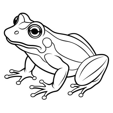 Beyaz arkaplanda kurbağa vektörü illüstrasyonu