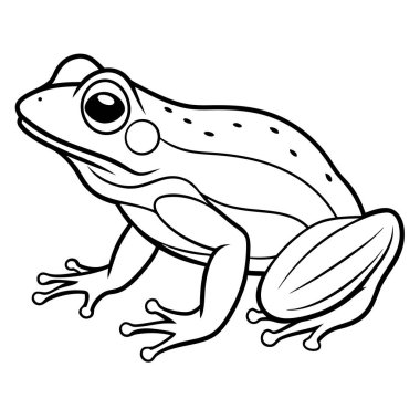Kurbağa vektör çizim
