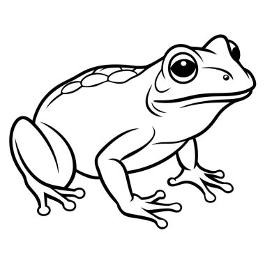 kurbağanın karikatür resmi