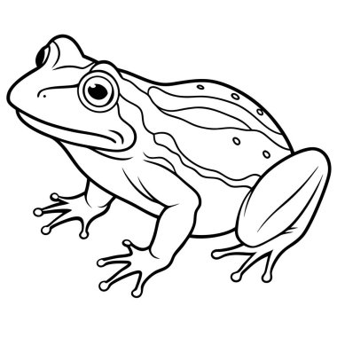 Beyaz arkaplanda bir kurbağanın karikatür resmi