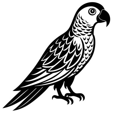 Siyah beyaz çizgi film kuşunun vektör çizimi