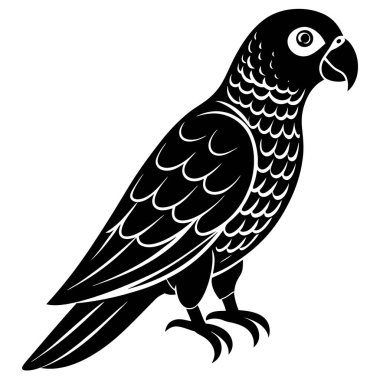 bir kuşun siyah beyaz çizimi