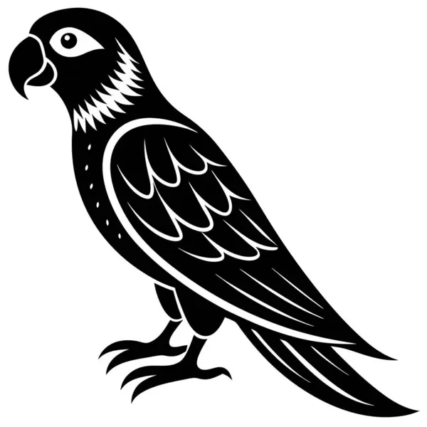 Beyaz arkaplanda siyah papağan kuşu