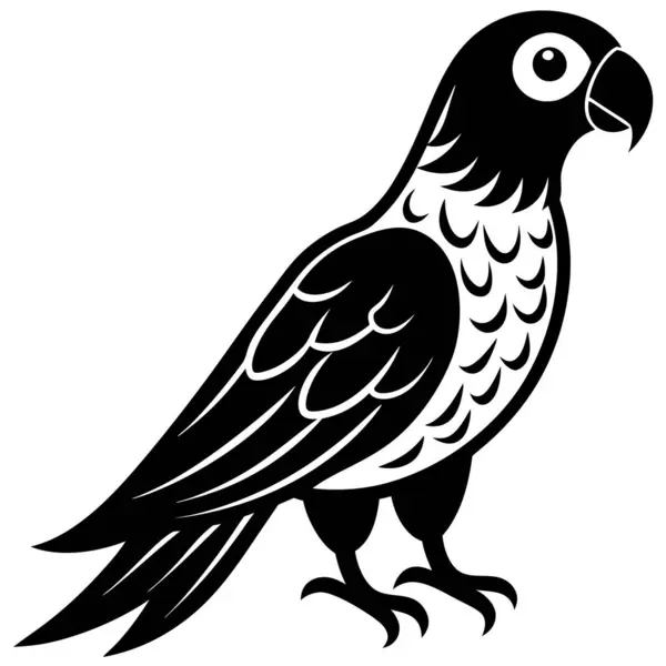 Papağanın siyah beyaz çizimi