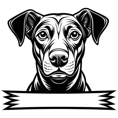 Köpeğin vektör çizimi