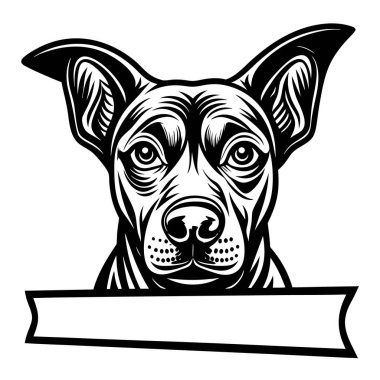 Buldog cinsinin köpek cinsi, vektör çizimi.