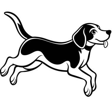 siyah ve beyaz köpek
