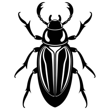 Böcek böceği, böcek böceği.