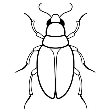 Böcek vektör çizimi, siyah ve beyaz