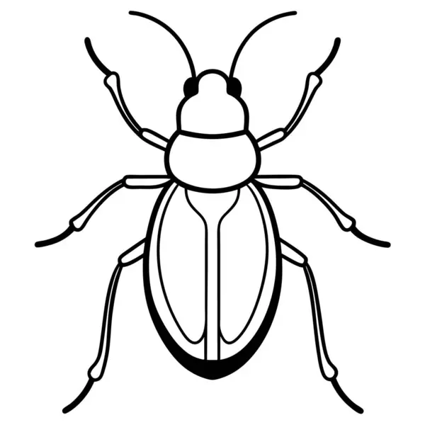 Bir böceğin vektör çizimi çizimi