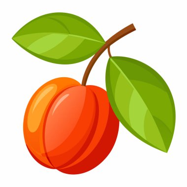kiraz vektör çizim