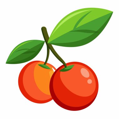 Kırmızı kiraz, illüstrasyon, beyaz arkaplanda vektör.