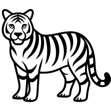 Bir kaplanın vektör çizimi