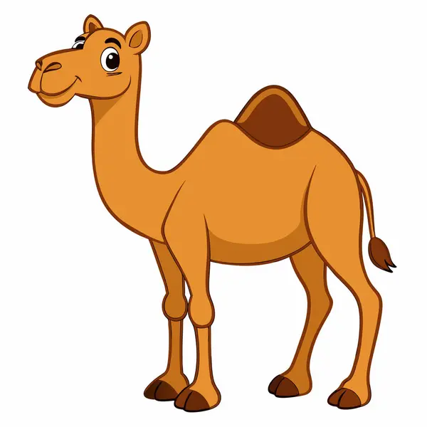 Deve hayvan vektör çizim