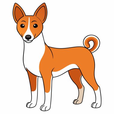 Şirin ve komik köpek..