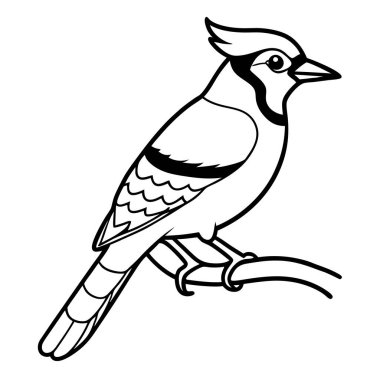 Çizgi film kuşunun vektör çizimi