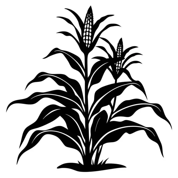 siyah siluet mısır vektörü