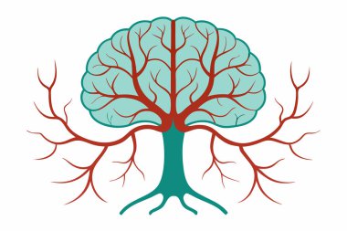 İnsan beyni anatomisi simgesi