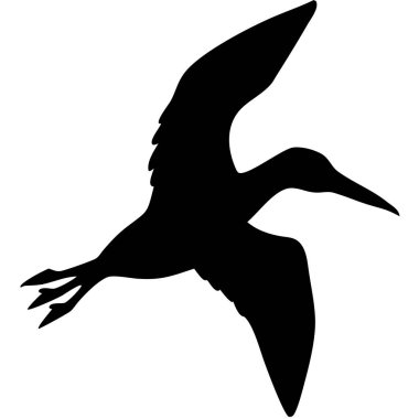 Siyah kuşun vektörü