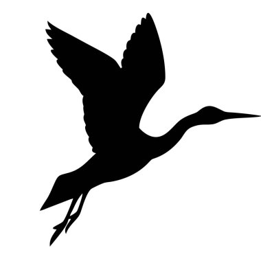 Bir kuşun silueti