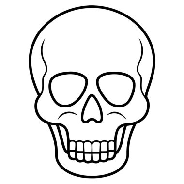 Beyaz arkaplanda insan kafatası, vektör