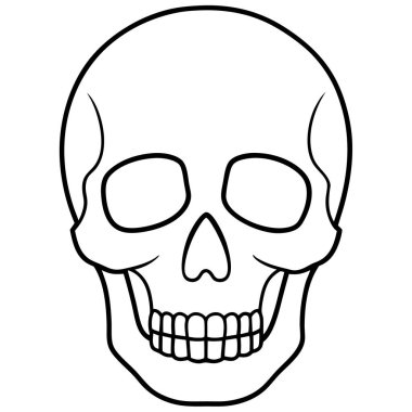 kafatası ve kemik çizgisi vektör çizimi tasarımı