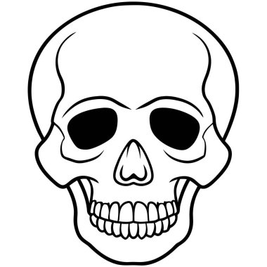 kafatası kemikli, vektör, resimleme, simge, arkaplan