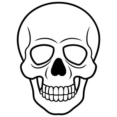 menselijke schedel geïsoleerd op wit