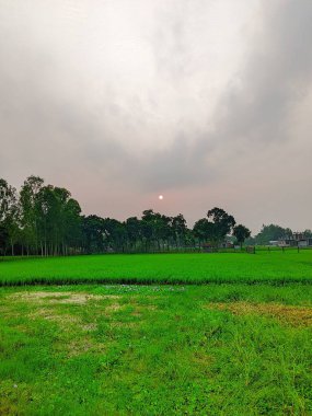 Akşam vakti Rangpur Bangladeş 'te tam gün batımı