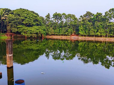 Güzel bir göl manzarası..