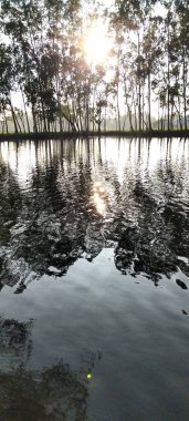 Ağaçlarla çevrili güzel köy göleti.