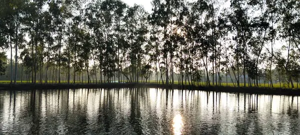 Ağaçlarla çevrili güzel köy göleti.
