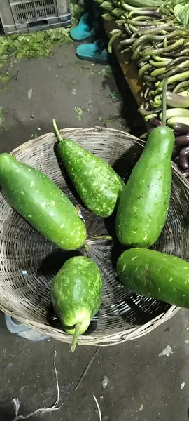 Bangladeş 'teki dükkanda su kabağı yetişiyor.