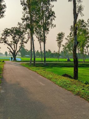 Bereketli Yeşillik 'li Buetisyen Yol