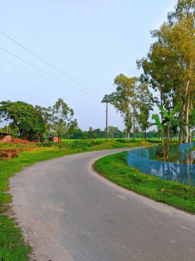 Bereketli Yeşillik 'li Buetisyen Yol