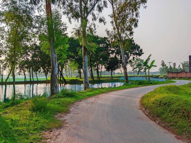 Bereketli Yeşillik 'li Buetisyen Yol