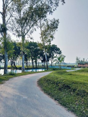 Bereketli Yeşillik 'li Buetisyen Yol